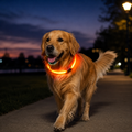 GlowSafe USB Rechargeable LED Pet Collar